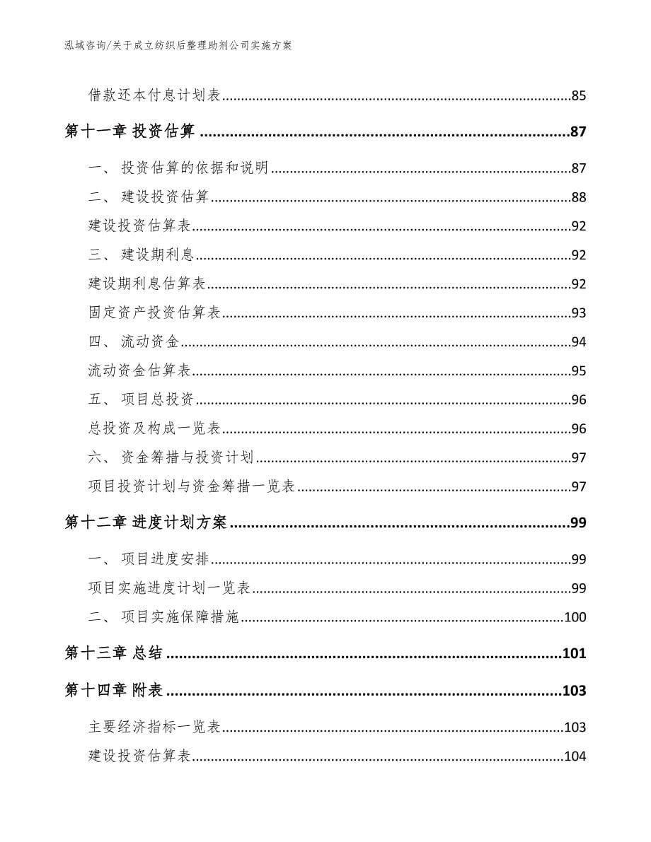 关于成立纺织后整理助剂公司实施方案_第5页