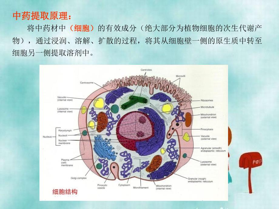 中药制药工程学工程篇提取_第3页