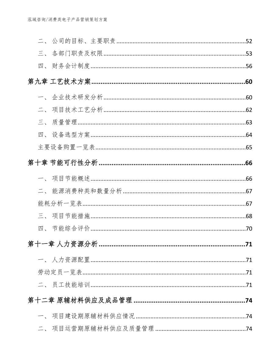 消费类电子产品营销策划方案_第5页