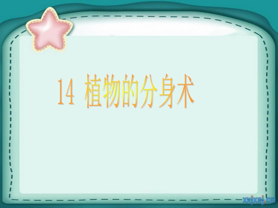 青岛版小学科学五年级下册植物的分身术课件_第2页