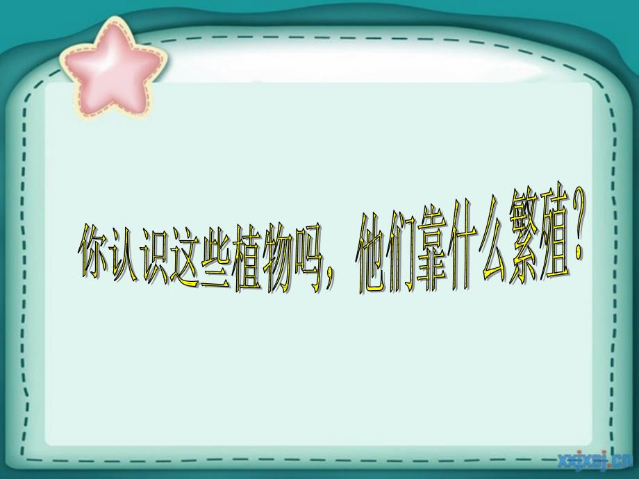 青岛版小学科学五年级下册植物的分身术课件_第3页