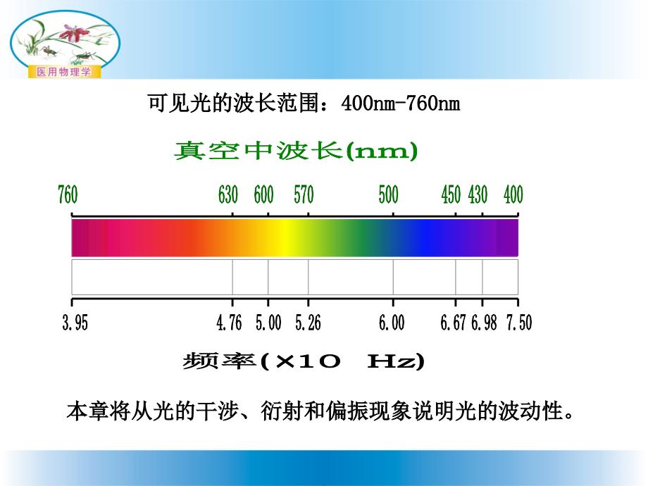 医学物理学：第十二章波动光学_第4页