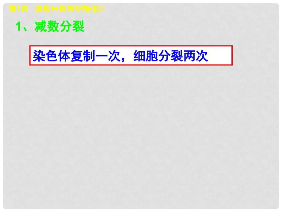 高考生物第一轮复习 第13讲 减数分裂与受精作用课件 新人教版必修2_第2页