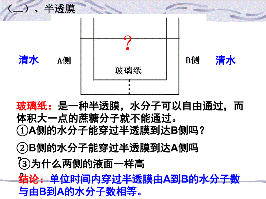 4-1物质跨膜运输的实例(PPT36页)_第3页