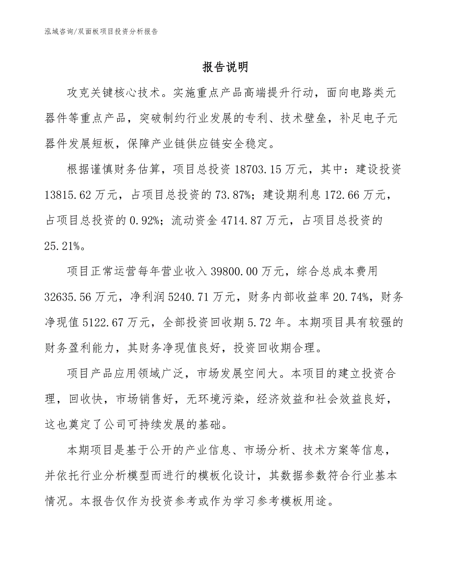 双面板项目投资分析报告【模板范本】_第2页