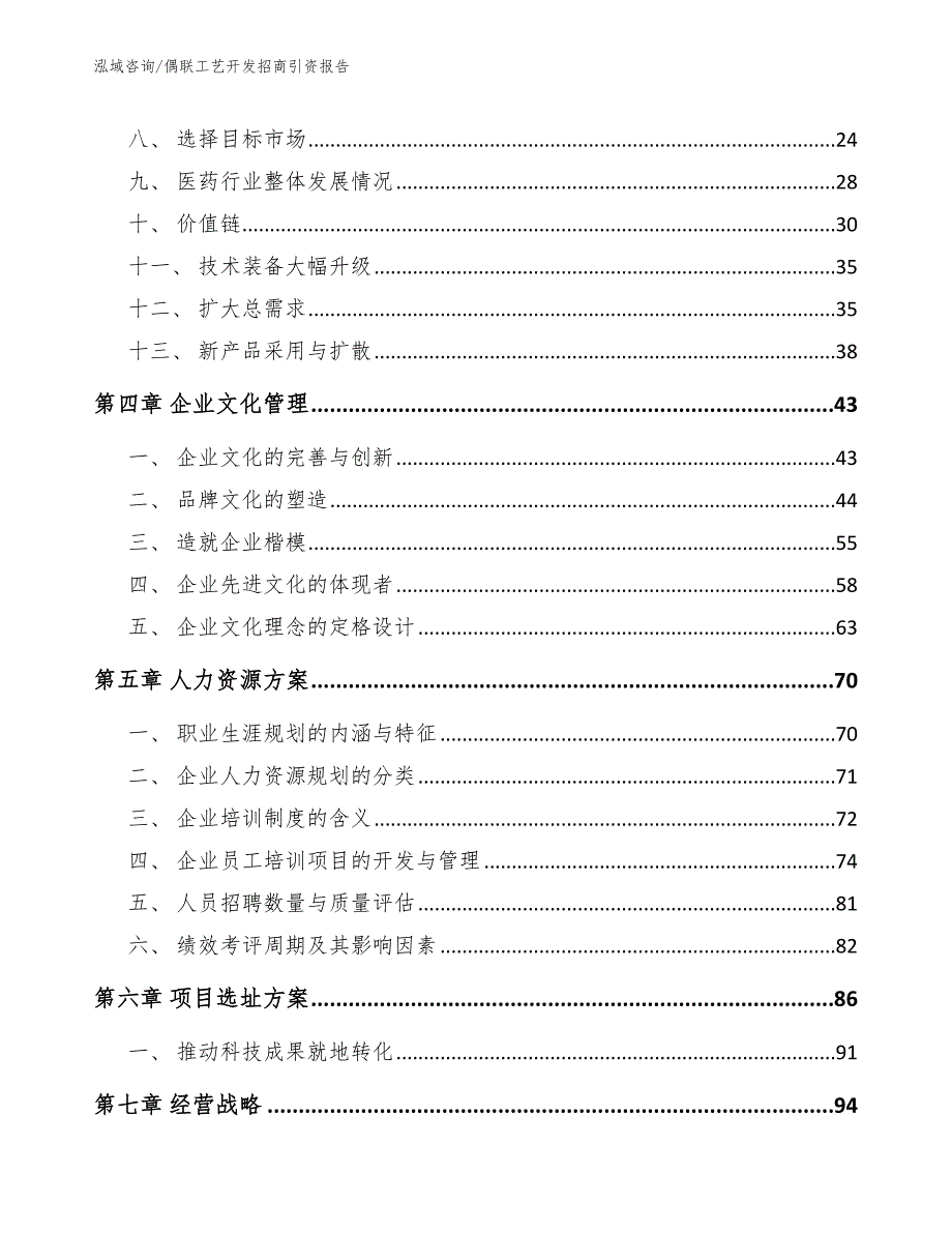 偶联工艺开发招商引资报告模板_第3页