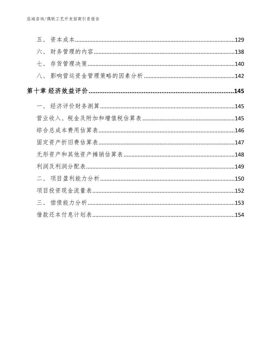 偶联工艺开发招商引资报告模板_第5页