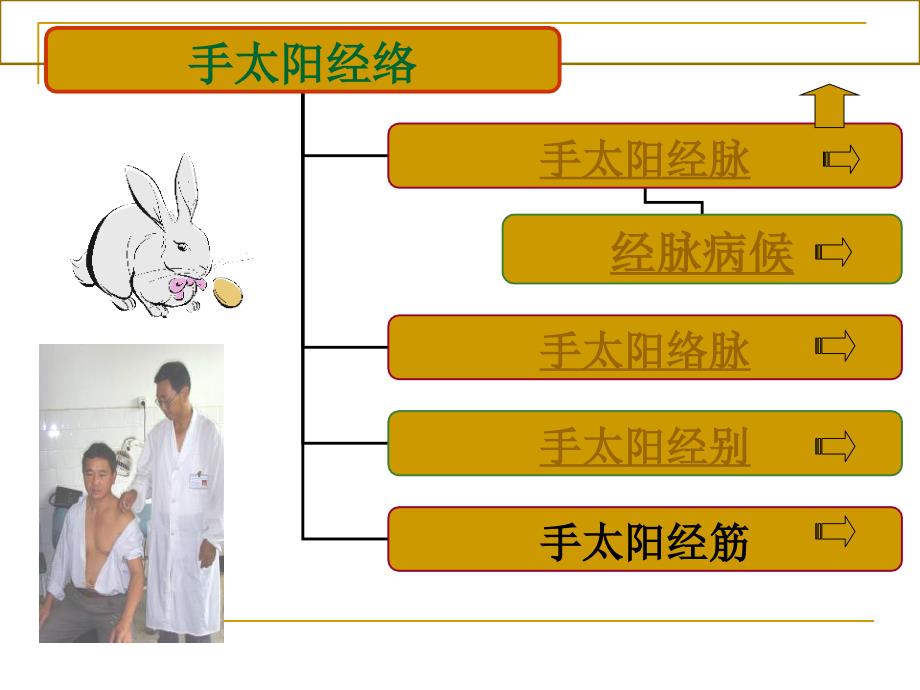 经络腧穴学手太阳小肠经课件_第3页