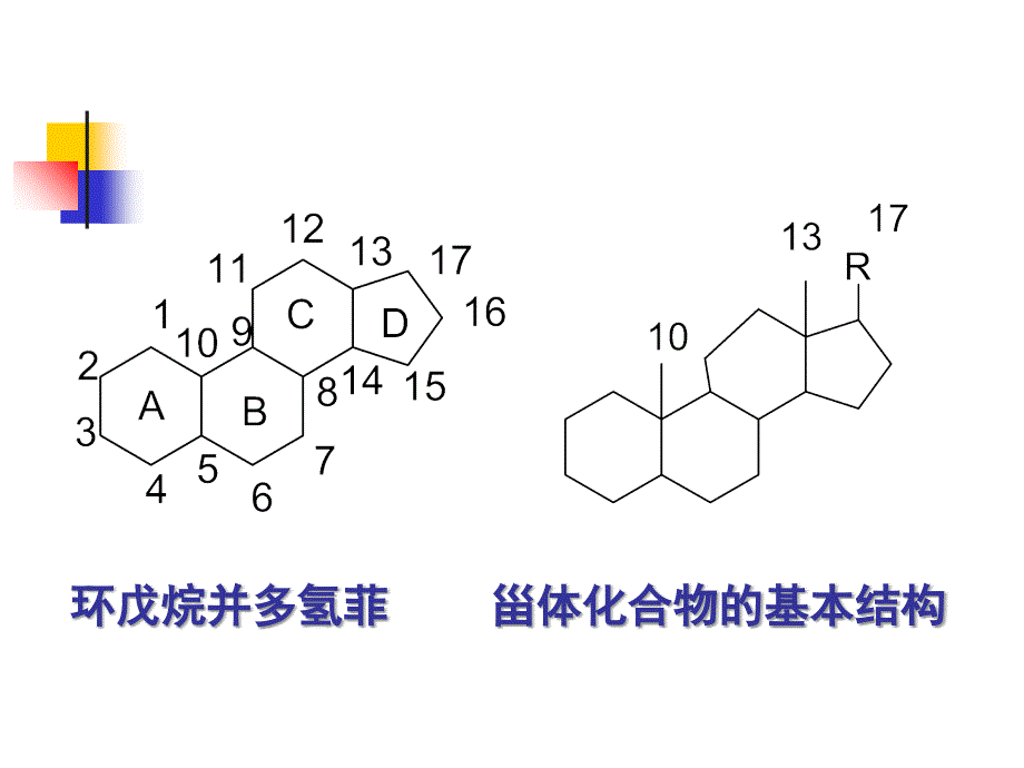 三节甾体化合物PPT课件_第3页