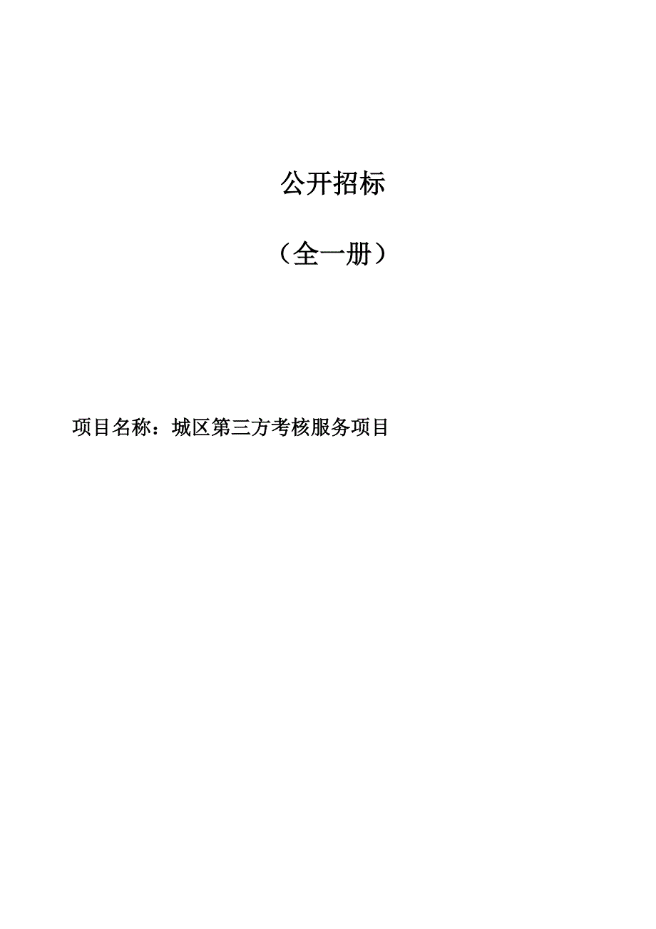 城区第三方考核服务项目招标文件_第1页