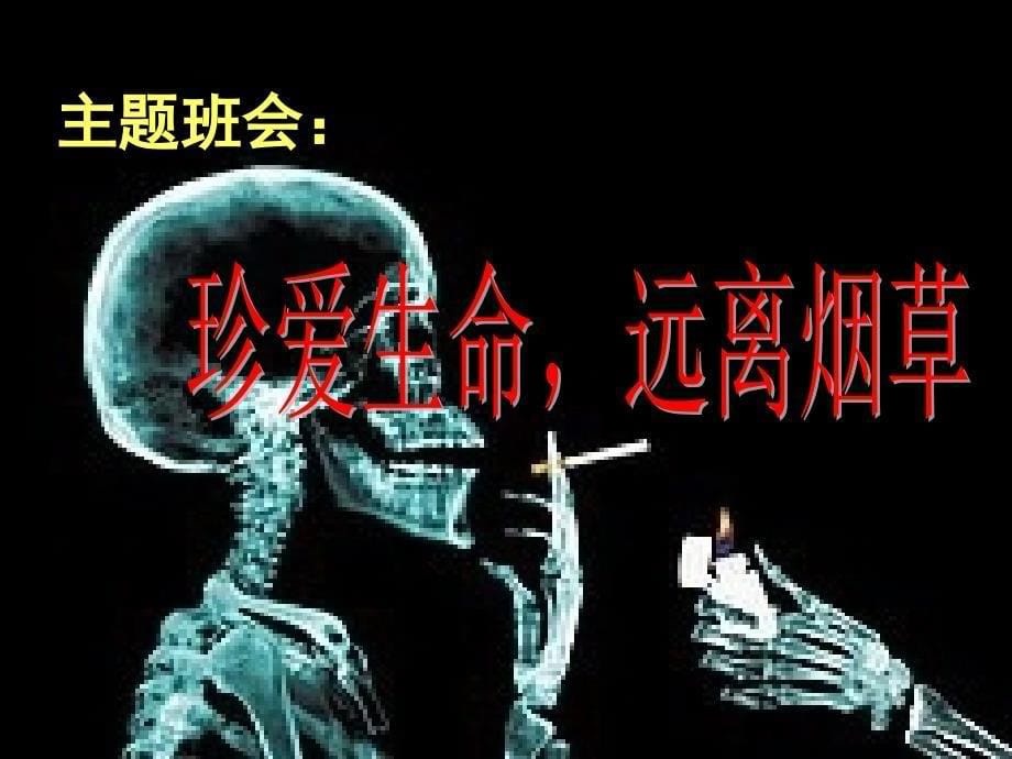 《珍爱生命远离烟草》主题班会ppt课件_第5页