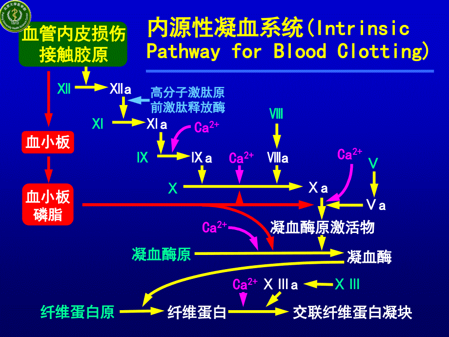 北大基础医学病理生理学课件弥散性血管内凝血_第4页