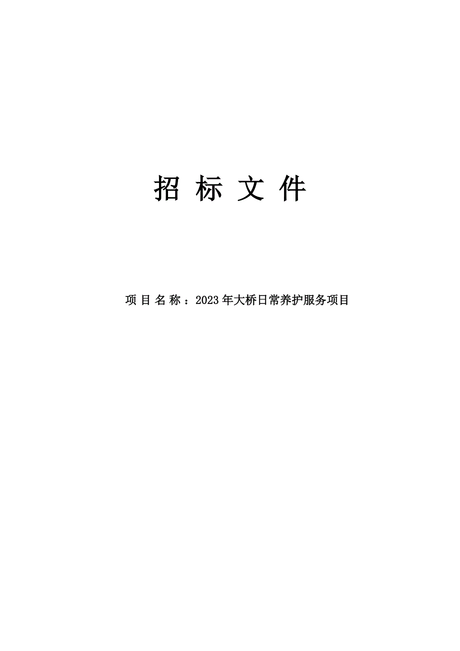 大桥日常养护服务项目招标文件_第1页