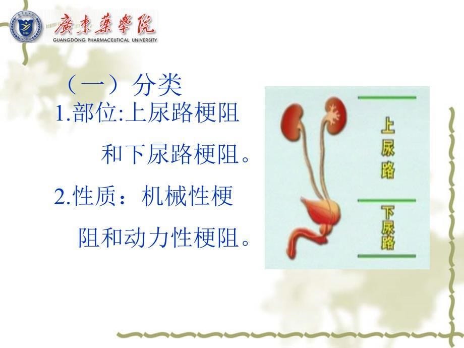 外科学教学课件：6泌尿系梗阻_第5页