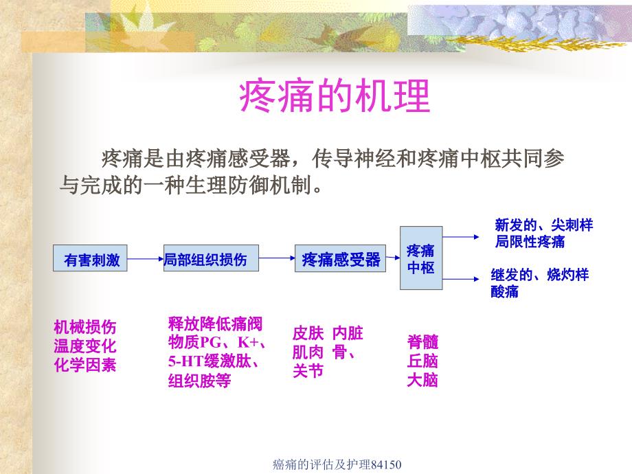 癌痛的评估及护理课件_第4页