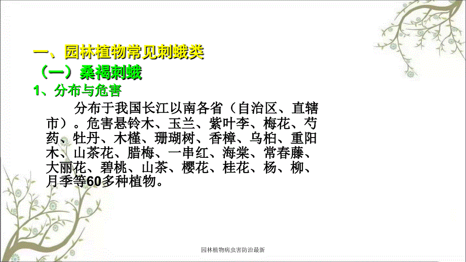 园林植物病虫害防治最新_第4页