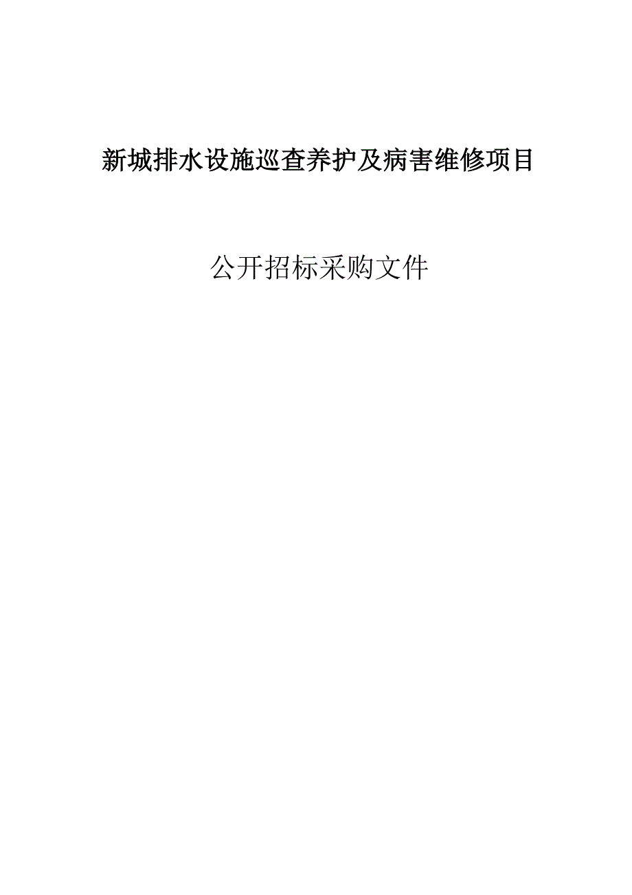 新城排水设施巡查养护及病害维修项目招标文件_第1页