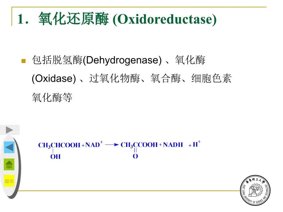 5A版酶工程课件_第5页