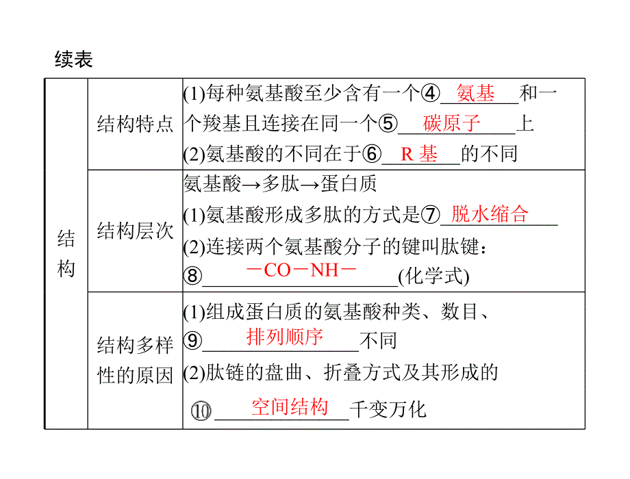 专题一 考点1 蛋白质、核酸的结构和功能_第3页