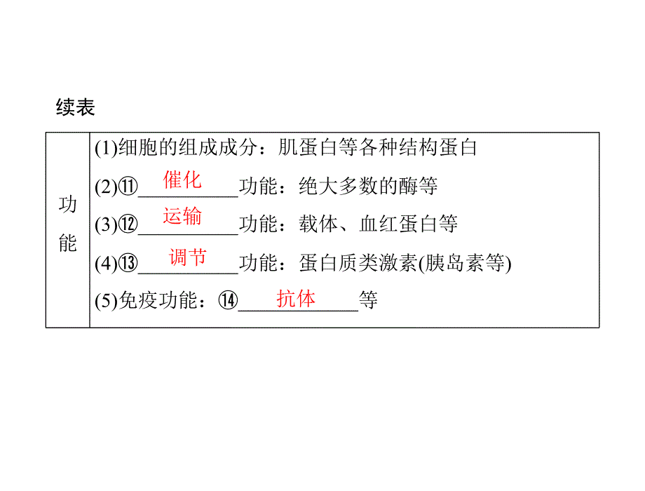 专题一 考点1 蛋白质、核酸的结构和功能_第4页