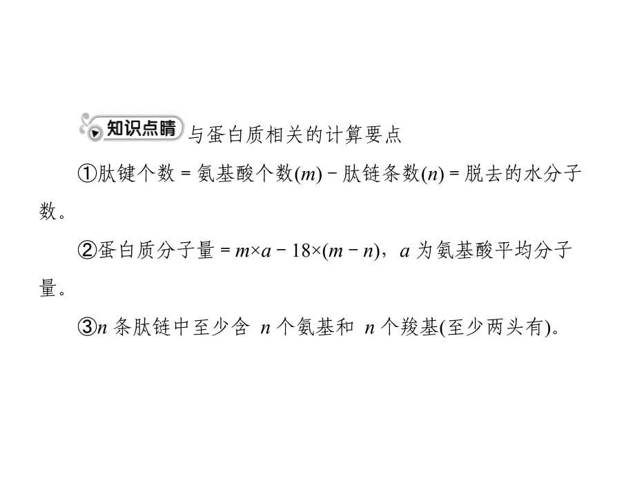 专题一 考点1 蛋白质、核酸的结构和功能_第5页