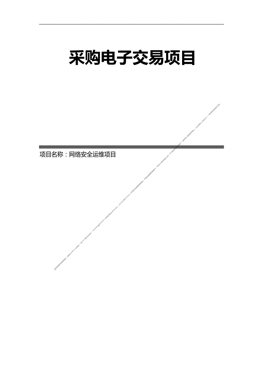 网络安全运维项目招标文件_第1页