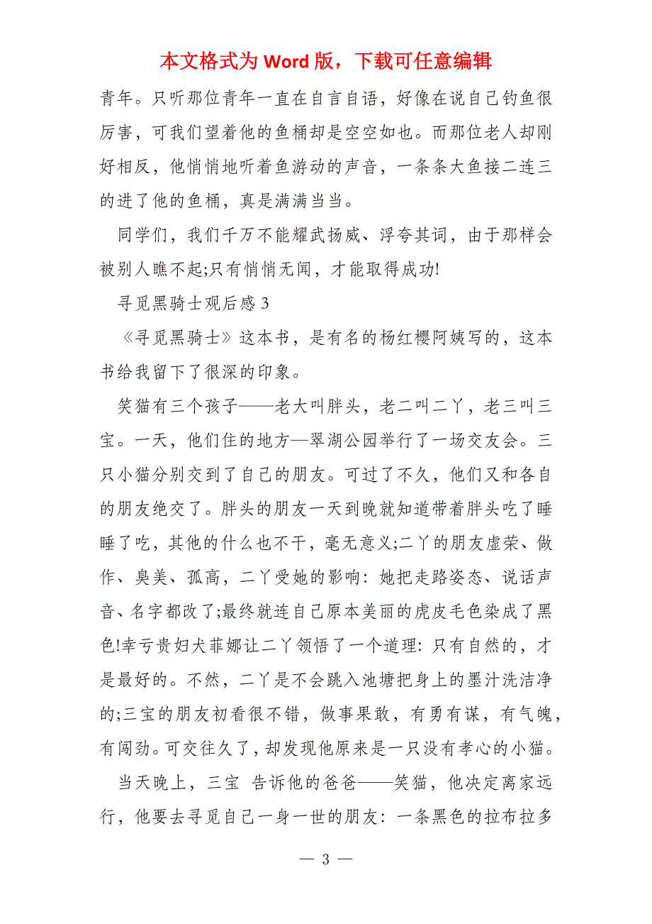 寻找黑骑士观后感500字优秀_第3页