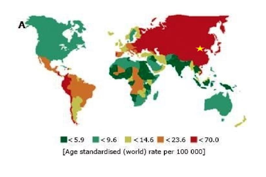 胃癌GastricCancer雅安职业技术学院.ppt_第1页