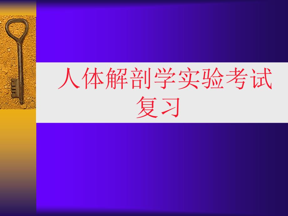 人体解剖学实物标本考试复习测试版_第1页