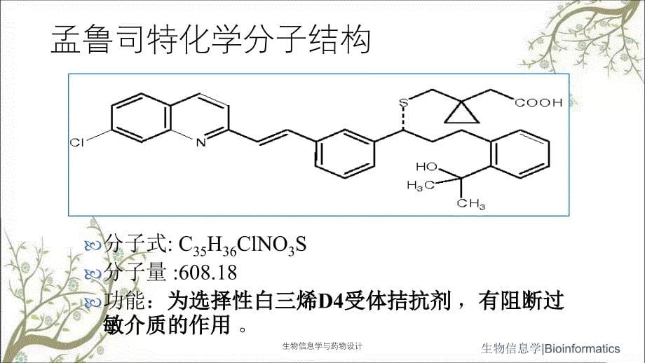 生物信息学与药物设计_第5页