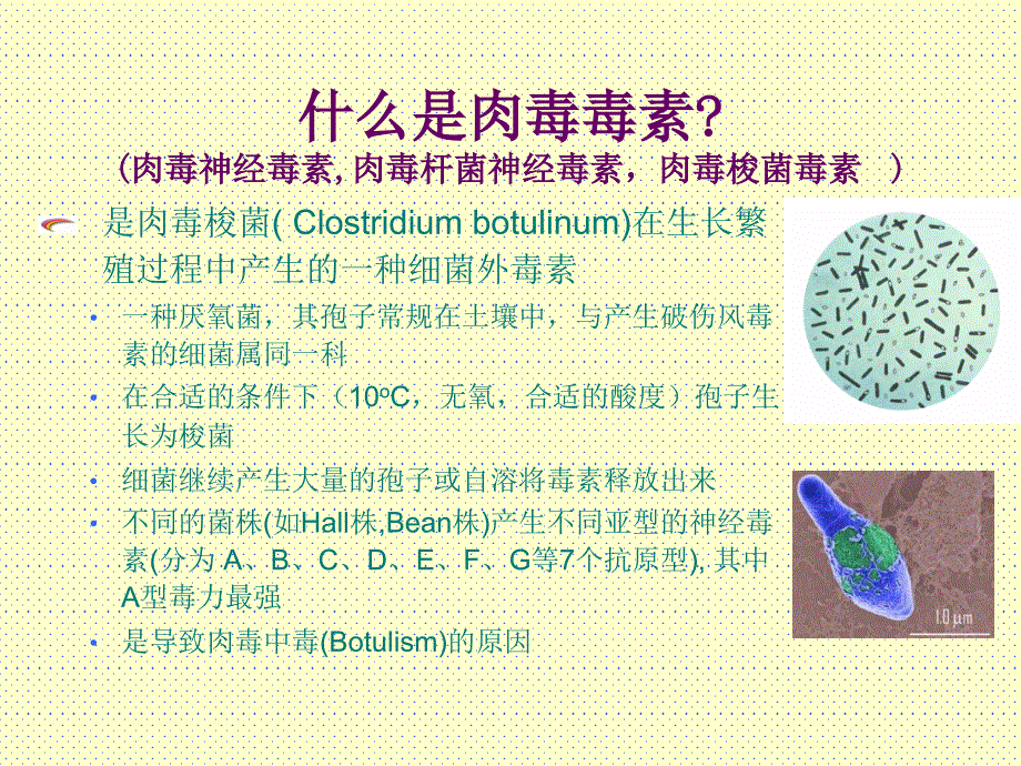 肉毒毒素基本知识_第3页