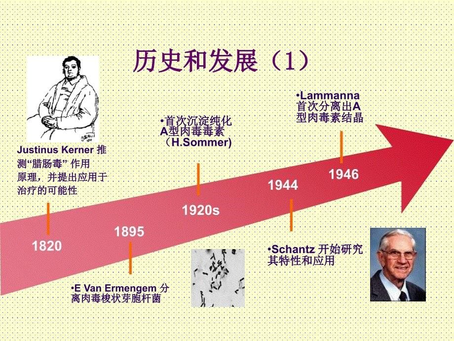 肉毒毒素基本知识_第5页