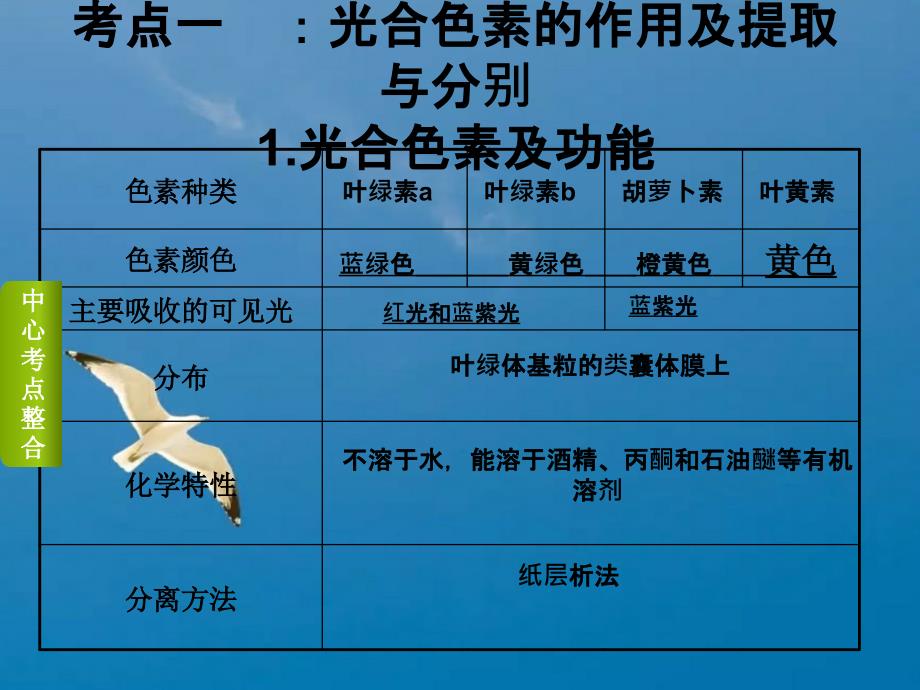 二轮专题光合作用ppt课件_第3页