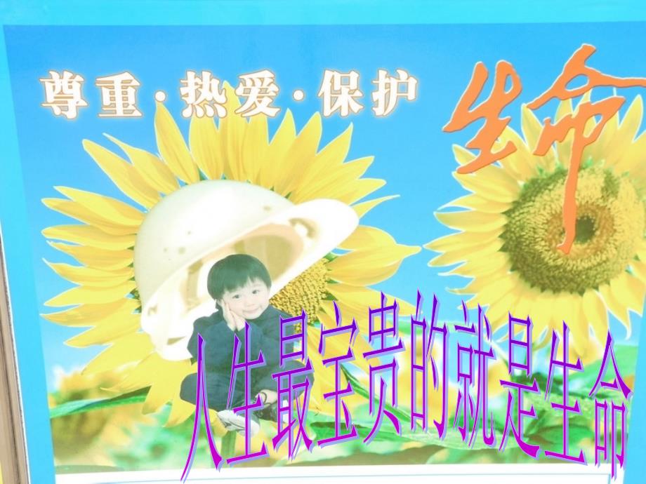 小学生安全教育第一课《安全无小事平安大如天》课件_第2页