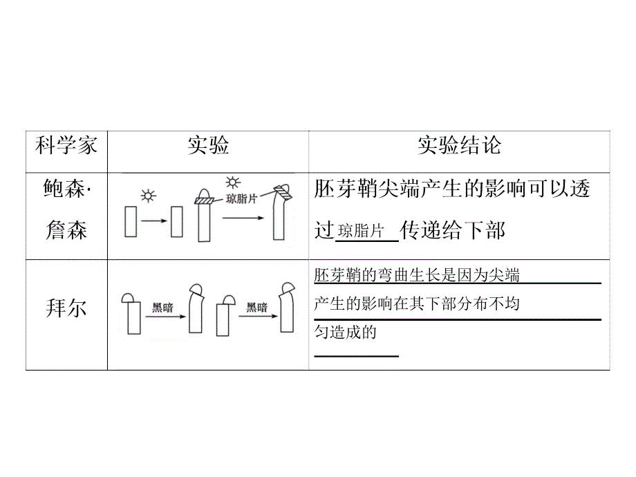 高考生物人教版一轮复习课件第一部分第八单元第29讲植物的激素调节_第3页