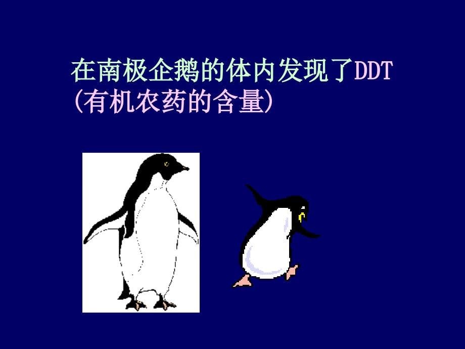 《海水运动的形式》PPT课件_第5页