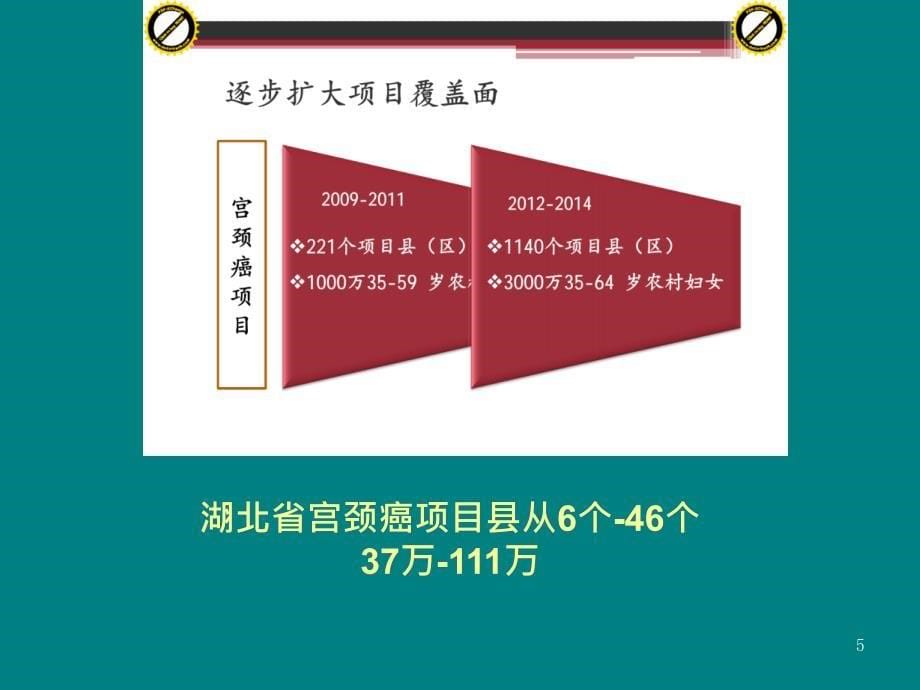 农村妇女两癌检查项目数据分析_第5页