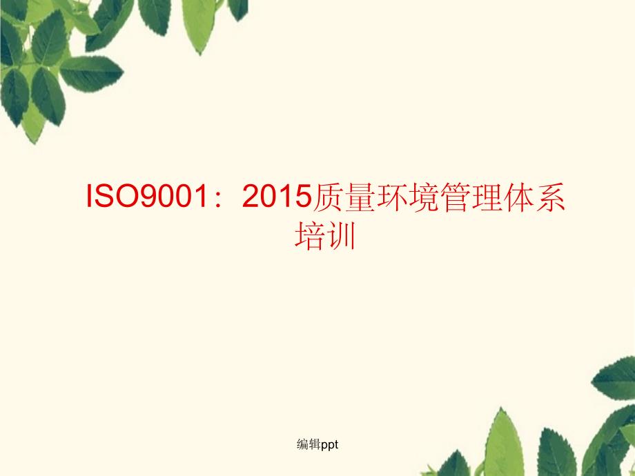 iso9001201x质量管理体系培训图文_第1页