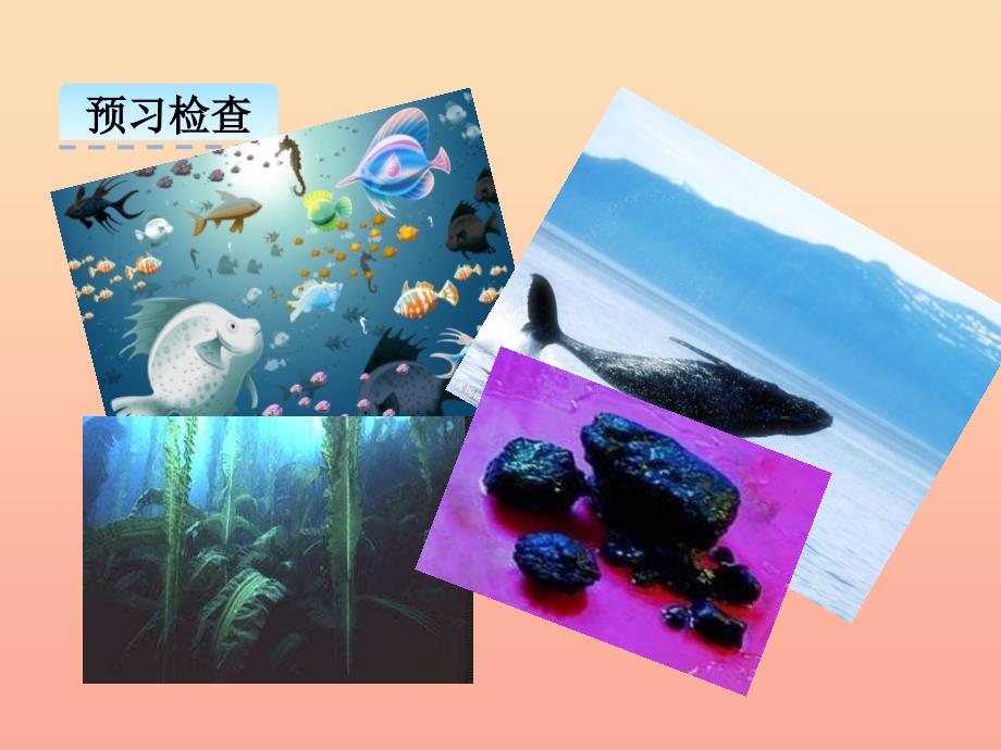 三年级语文上册 第三单元 12 海洋是个聚宝盆课件 湘教版.ppt_第4页