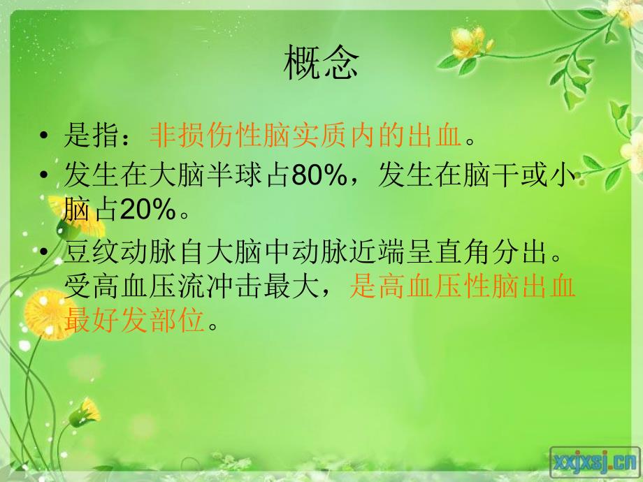 脑出血病人的护理.ppt_第2页