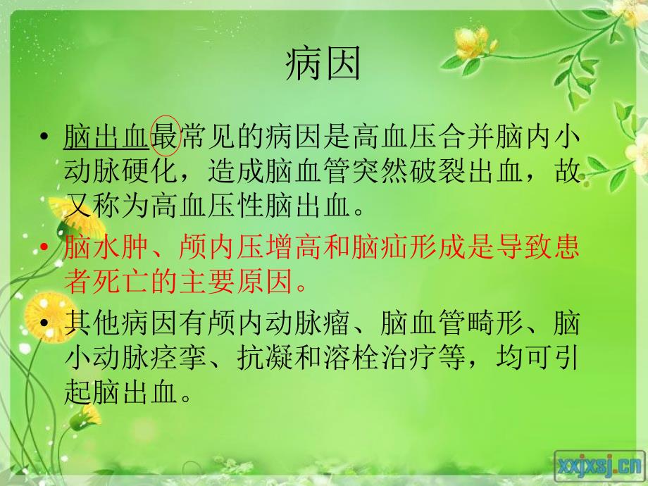 脑出血病人的护理.ppt_第3页