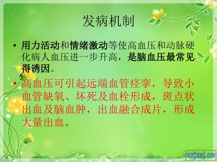 脑出血病人的护理.ppt_第4页