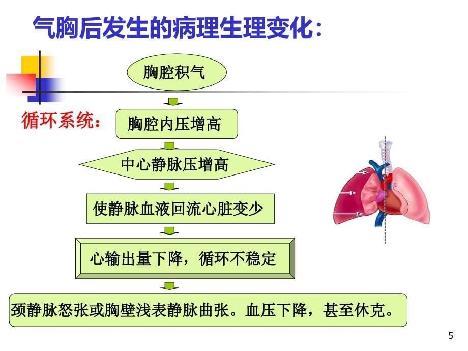 （优质课件）气胸的分类及护理_第5页