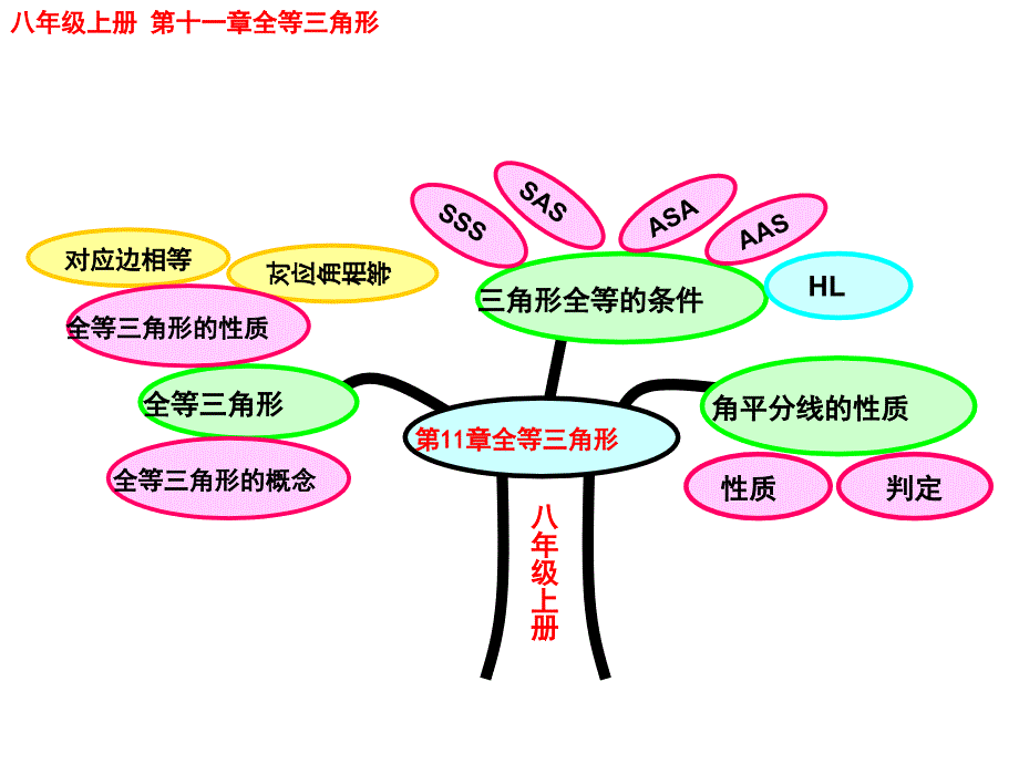 全等三角形知识树_第1页