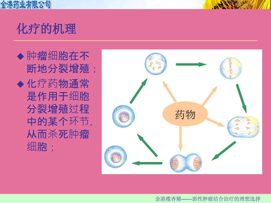 肿瘤化疗常见不良反应与处理ppt课件_第2页