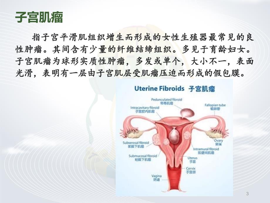 病区教学查ppt课件_第3页