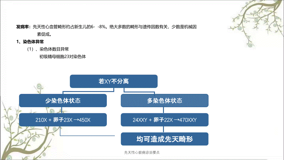 先天性心脏病诊治要点_第2页