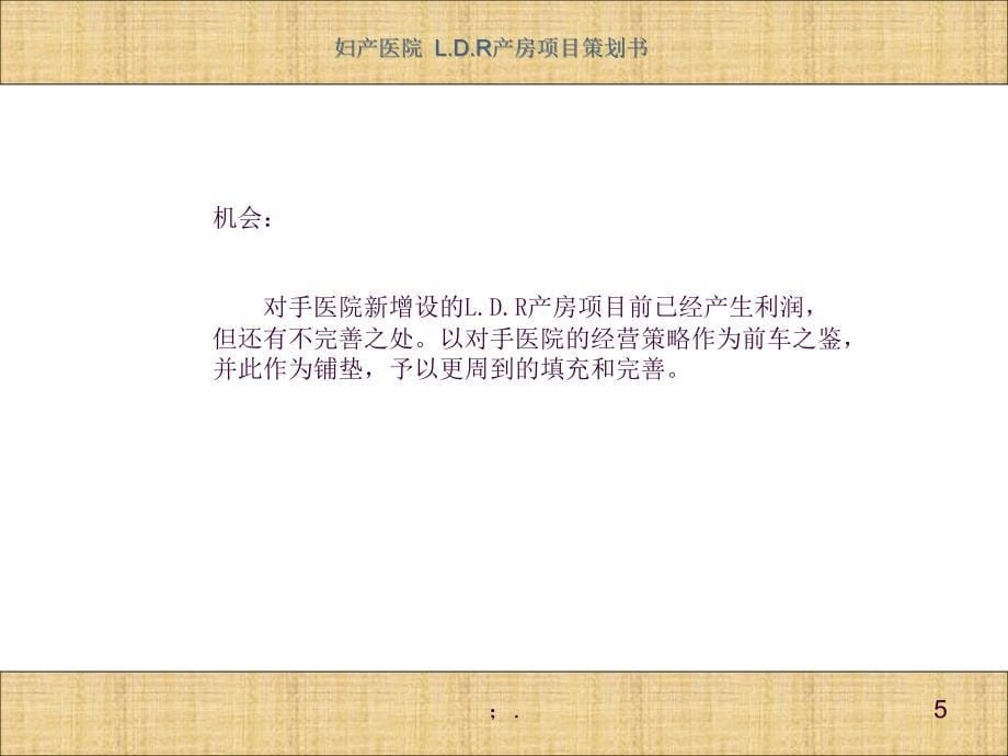 LDR策划书ppt课件_第5页