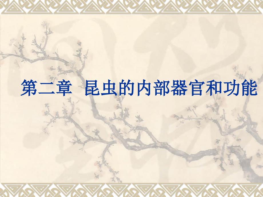 昆虫的内部器官和功能.ppt_第1页
