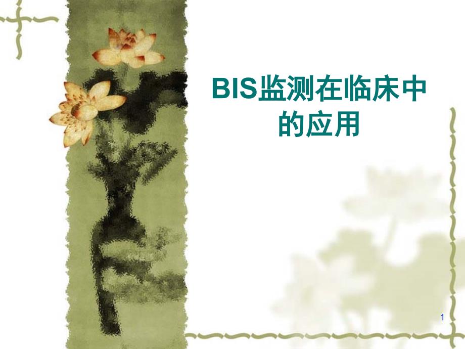 BIS监测在临床中的应用课堂PPT_第1页
